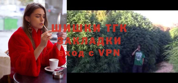 шишки Алзамай