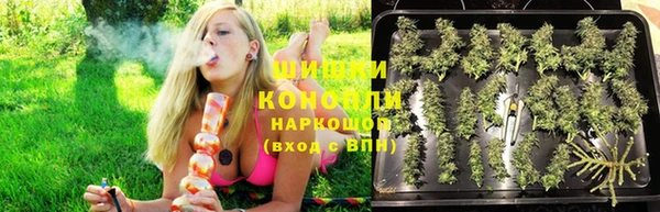 шишки Алзамай