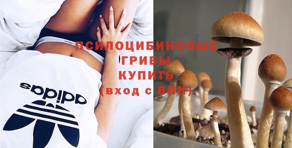 шишки Алзамай