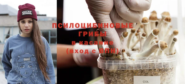 шишки Алзамай