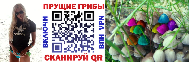 Галлюциногенные грибы мухоморы Иваново
