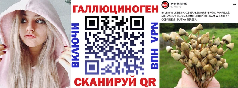 Галлюциногенные грибы прущие грибы  Купить  Иваново 